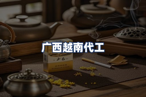 广西越南代工